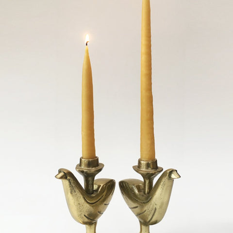 Beeswax Candles - Alysia Mazzella - Hyperbole