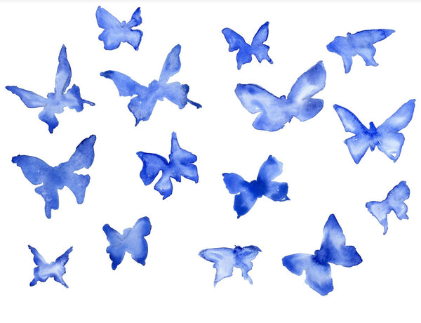 Blue Butterflies - Hodaya Louis - Hyperbole